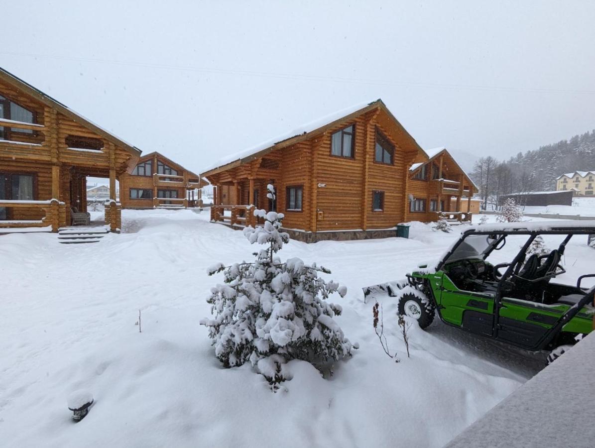 Log House Villa Bakuriani Dış mekan fotoğraf